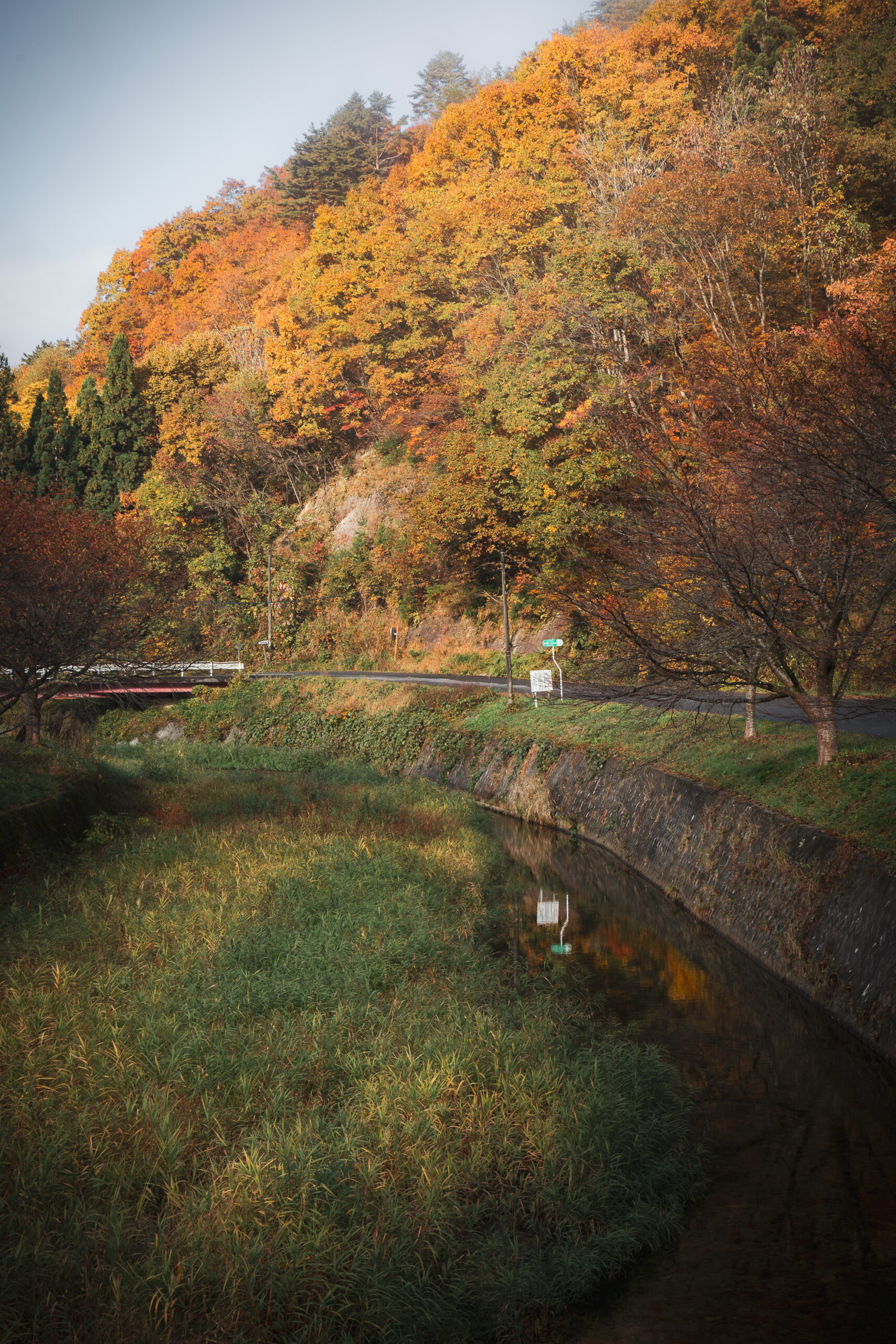 日本の田舎風景　紅葉